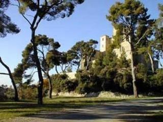 Chateau De Meyrargues Esterno foto